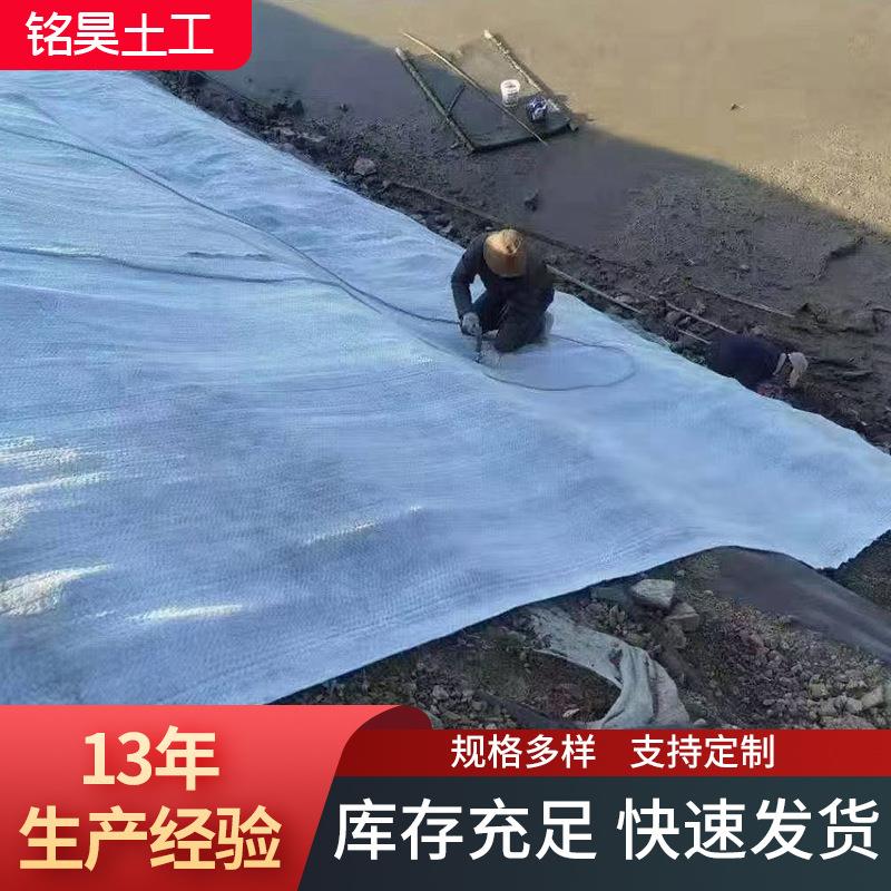 膨润土防水毯 人工湖河道治理专用防水毯废弃物填埋场防渗防水毯