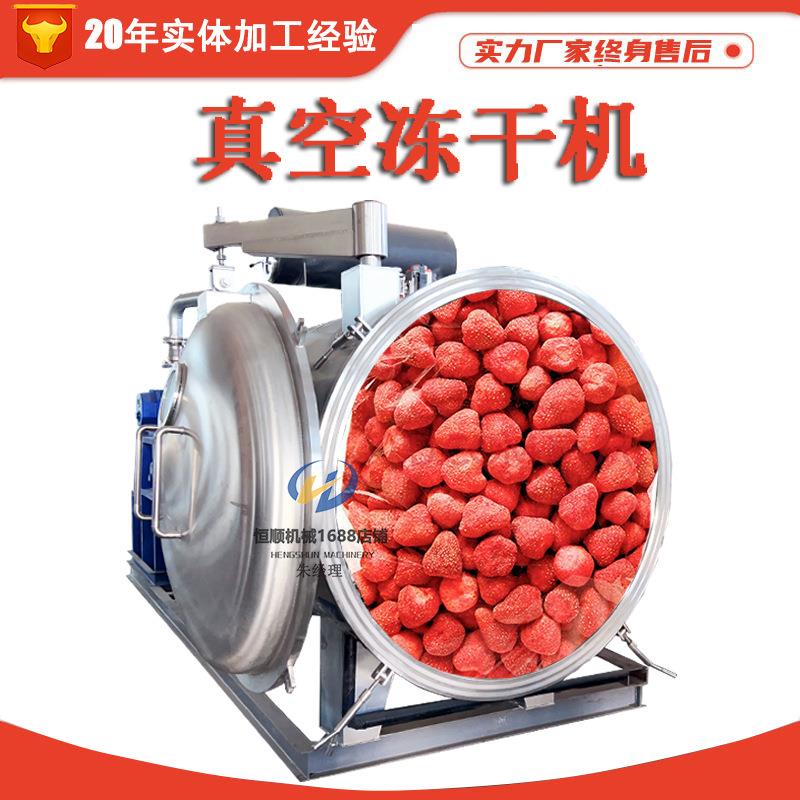 中药液原位冻干机 全自动宠物猫粮低温冻干机 杏鲍菇真空冻干机
