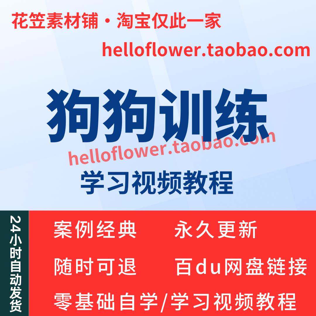 狗狗宠物训练驯狗日常护理美容定点排便习惯养成训犬视频教程