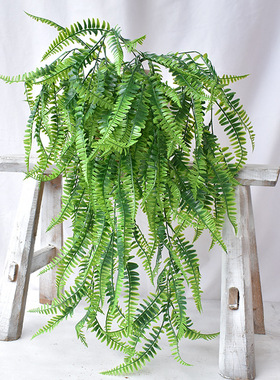 绿色植物仿真波斯草壁挂加长蕨草壁挂绿色仿真植物藤蔓叶子