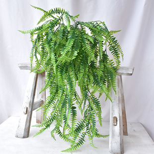 绿色植物仿真波斯草壁挂加长蕨草壁挂绿色仿真植物藤蔓叶子