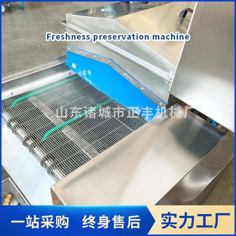 火锅丸子挂冰机刀鱼段挂冰保鲜机龙虾尾包冰速冻鱿鱼圈冰衣机