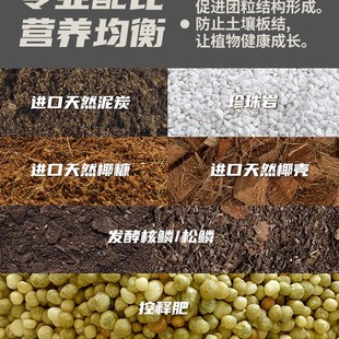 园艺家营养土养花通用专用土泥炭种花种菜土壤种植百合蓝莓有机土