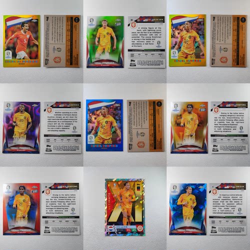 PANINI TOPPS 荷兰国家队 范戴克 范德芬 带编限量球星卡周边礼物