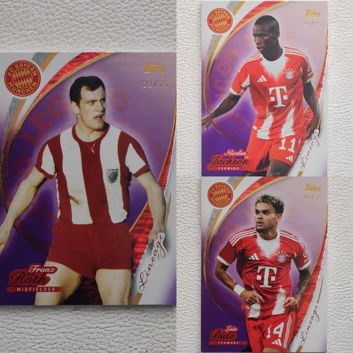Topps 血统 拜仁慕尼黑 迪亚斯 雅克松 鲁特 限量 球星卡
