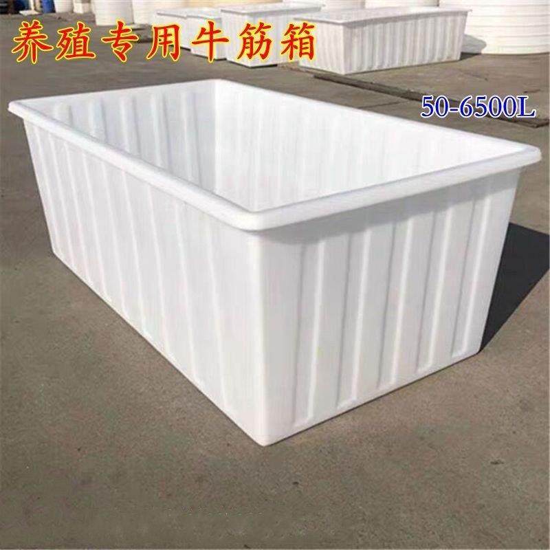 加厚牛筋塑料水箱超大号长方形储水桶水产养殖养鱼养龟胶盆周转箱,家庭/个人清洁工具,水桶,淘宝优惠券,粉丝福利购,淘宝优惠卷