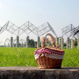 藤编柳编带盖野餐篮收纳篮水果篮田园风手工制作厂家现货