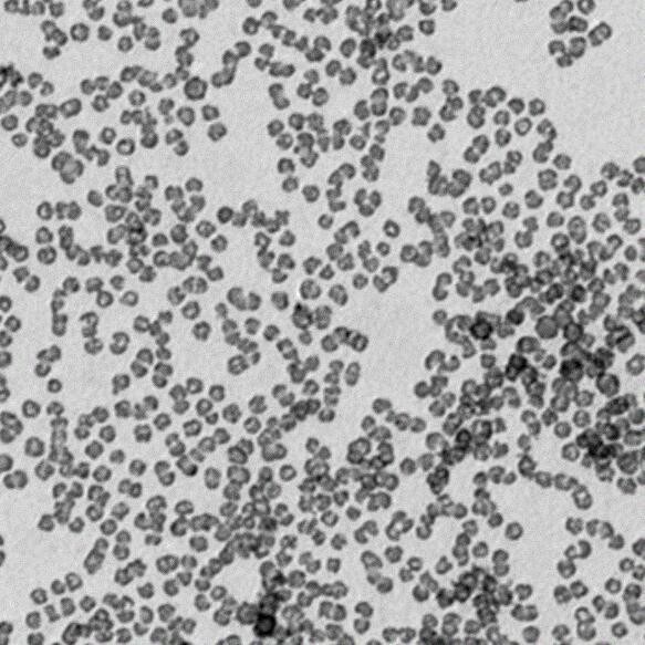 纳米碳粉球形碳粉20nm碳粉
