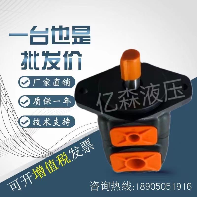 液压叶片泵YB-A10CA16CA20CA25CA30CA32C-DU/-FF/JF-10