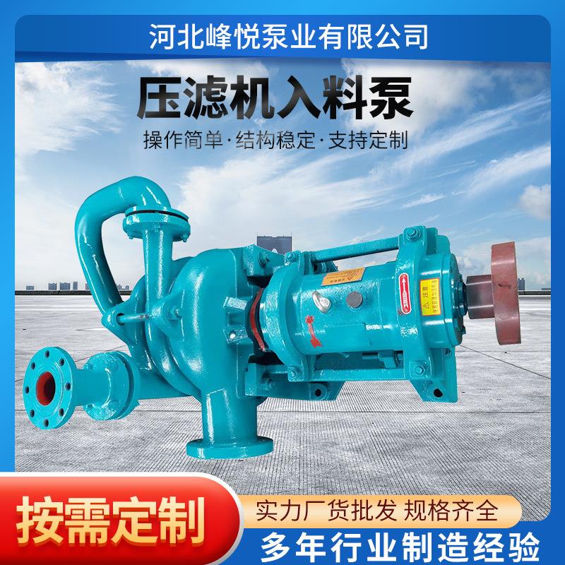 压滤机入料泵泥浆泵50ZJW-65SYA80ZJE100ZJW泥浆进料泵渣浆泵