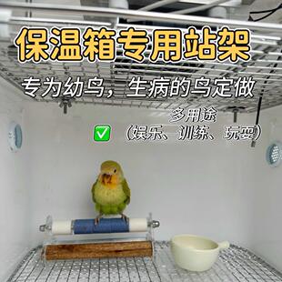 鹦鹉保温箱三角架站架训练玄凤牡丹虎皮磨砂站杆定点排便鸟站架台