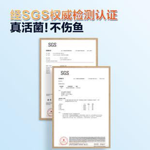 硝化细菌鱼池用净水剂分解鱼便养鱼消化活菌液锦鲤鱼缸水质稳定剂