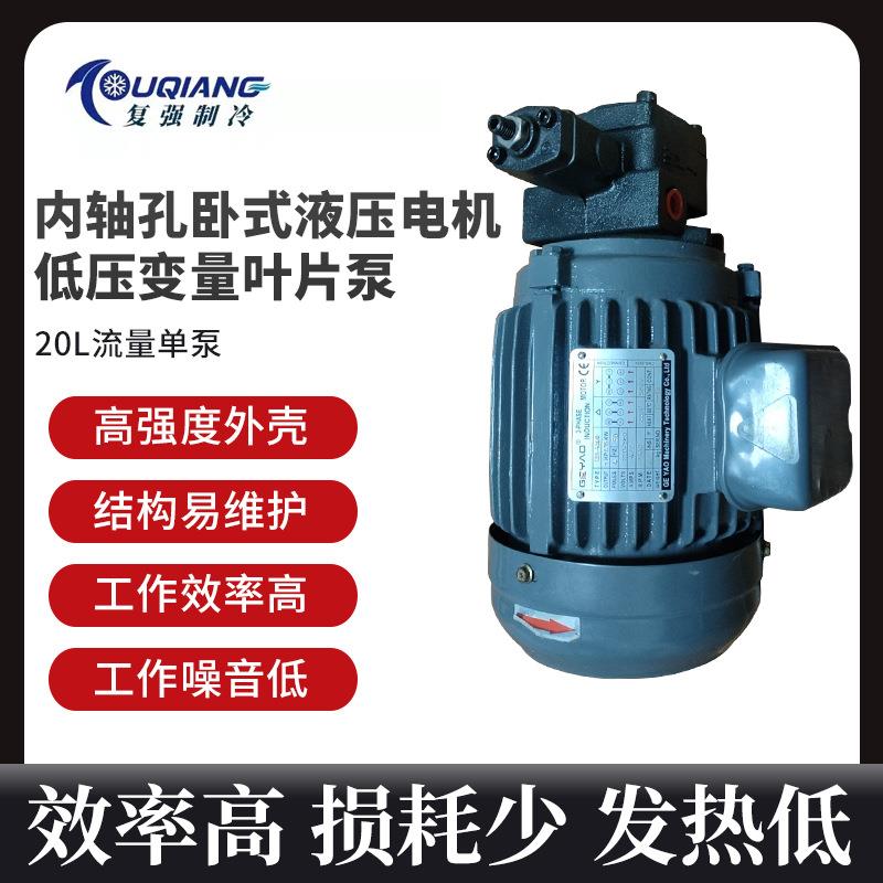 油泵电机组VP20+0.75KW总成内轴卧式液压电机电动液压站专用配件