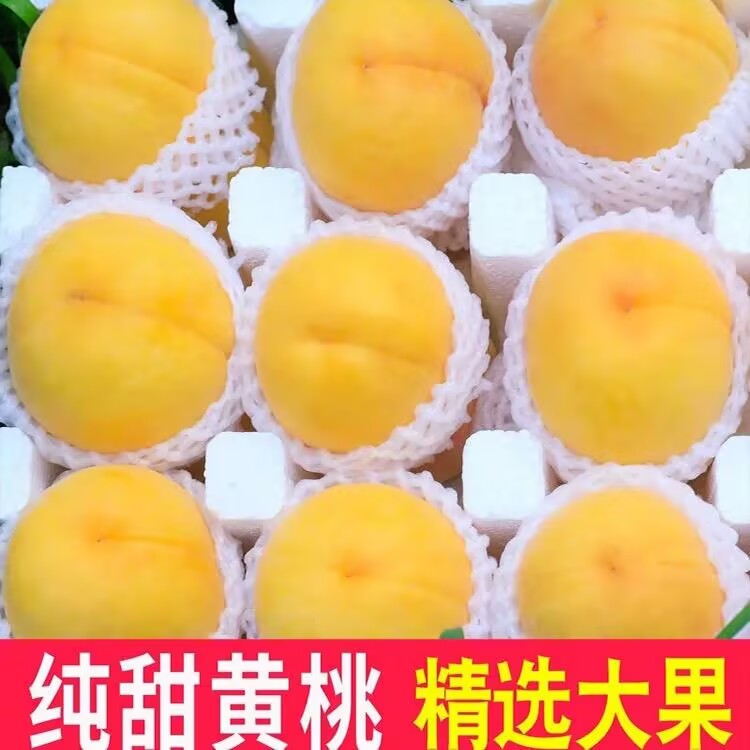 现货锦绣黄桃新鲜水果蒙阴炎陵