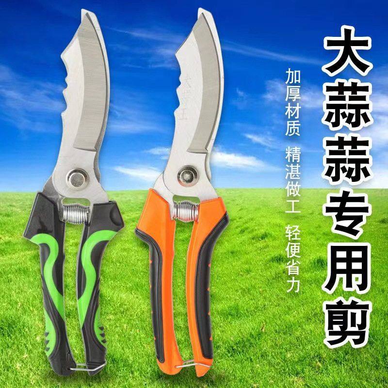 供应碳钢大蒜剪弯头双色柄蒜根剪弯头大蒜剪大蒜剪刀,五金/工具,裁缝剪,淘宝优惠券,粉丝福利购,淘宝优惠卷