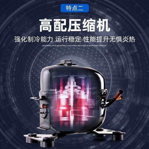 藏展门ERZ示柜柜单门饮料柜商用保鲜立式双开三门啤酒冰柜冰箱冷
