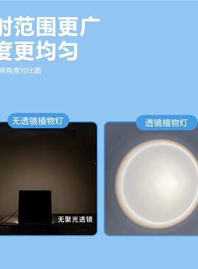 地植物补光落灯室用内家用护眼仿太阳全光RMZ谱观叶绿植花卉专生