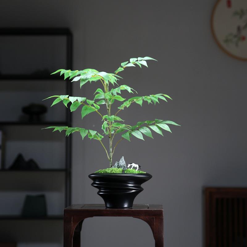 酒永生藓景现代新中式客厅茶几绿植苔盆2025024店样板房仿真植物