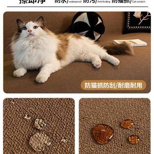 防泰F98M6679水迪绒沙发盖布巾防滑2四季 025新款 通抓用防猫全包型