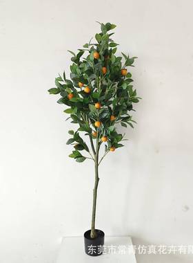 商常YDZ青桔子树店铺软场装装饰盆栽造景密设计仿真加款橘子树