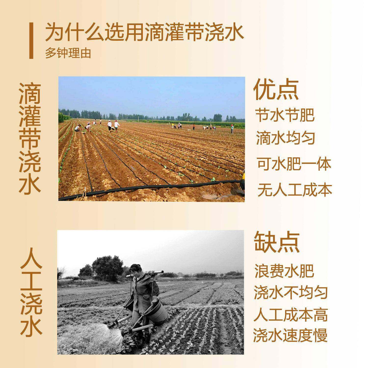 新滴灌带16m农m贴式滴管用滴灌管型AED大棚蔬菜滴管带水带片滴灌