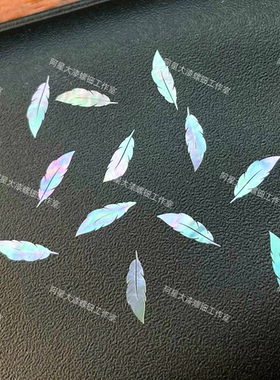 羽毛螺钿片白蝶贝壳珍珠大漆漆器