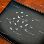 兰花螺钿片白蝶贝片贝壳片珍珠母贝片大漆漆器螺钿漆画漆艺镶嵌