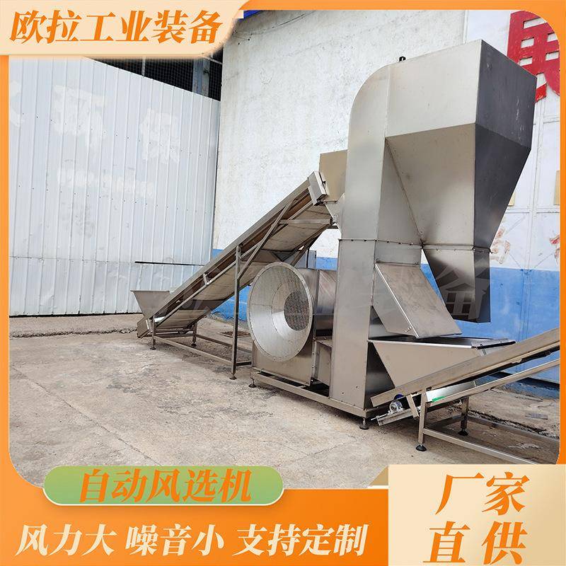 花生 豆类风选去叶去杂质设备 大型辣椒自动配套风选清洗设施