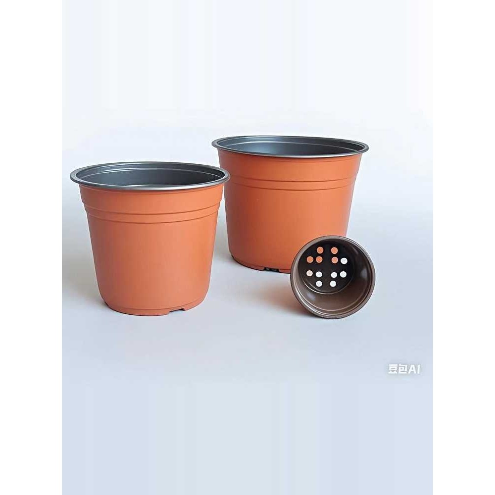 双色盆加厚育苗盆多肉种植盆一次性简易塑料花盆加厚营养钵育苗杯,电子元器件市场,其它元器件,淘宝优惠券,粉丝福利购,淘宝优惠卷