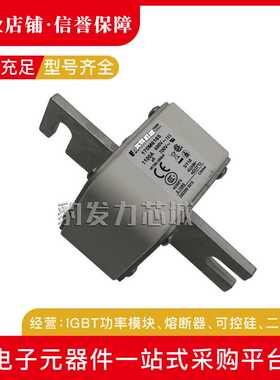 170M6188/6189/6190/6191/6192/6193/6194/6195全新熔断器现货