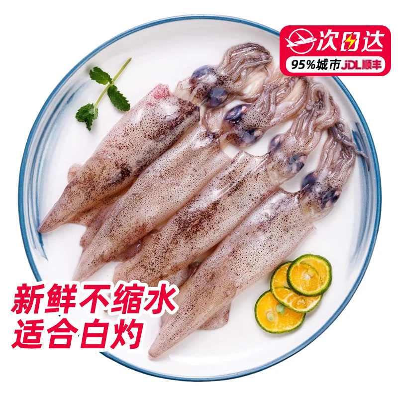 笔管鱿鱼海兔子墨斗鱼