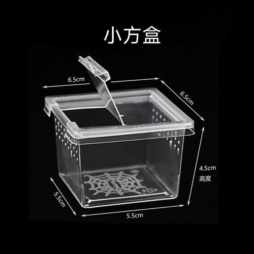 爬虫饲养盒小方盒YC树爬虫爬宠饲养箱捕鸟蛛蝎子蜥蜴乌龟掌上名蛛