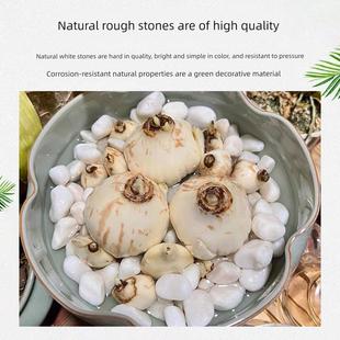 白色鹅卵石铺装白色砾石未经清洁抛光小白石装饰软户外庭院景观白