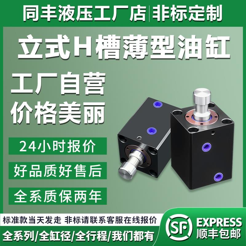 立式H槽光杆液压油缸CX-SD20/25/32/40/63/80/100-H 薄型油缸模具