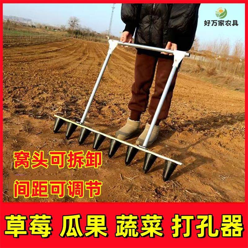 栽苗打孔器种花生草莓瓜果蔬菜多功能土地打洞神器定植株距打窝器,农机/农具/农膜,耕种机械/微耕机/开沟机,淘宝优惠券,粉丝福利购,淘宝优惠卷