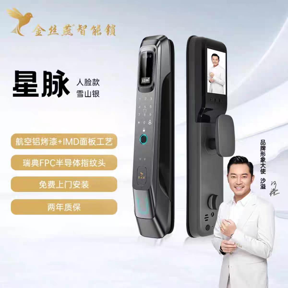 金丝燕全自动人脸指纹锁密码锁家用防盗门锁电子锁超清大屏智能锁