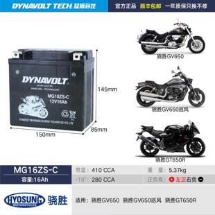 轻骑大韩骁胜晓星电瓶GV300GV250GT650R坦影250大脚怪猛狮蓄电池