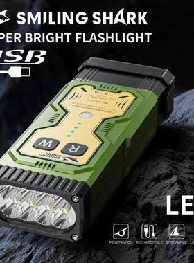 Outdoor lighting charging multi-function work light flashlig