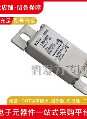 170M2666 170M2667 170M2668 170M2669 170M2670 170M2671熔断器