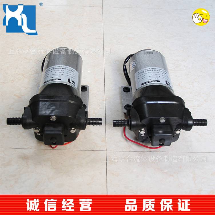 DP高压微型隔膜泵 扫路车水泵 DP-35 山东水泵