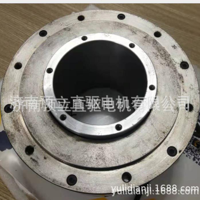 济南DD马达DS系列 自主研发设计