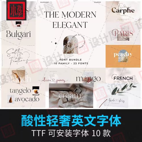 时尚优雅酸性衬线简约杂志海报品牌LOGO设计手写英文字体win/mac