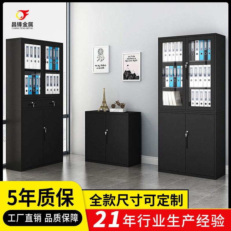 小型对门铁皮文件柜钢制带锁多层资料矮柜凭证档案工具柜储物柜