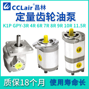 GPY 10R11A 3R4R5.8R7R9R10R11.5高压KIP齿轮泵K1P1
