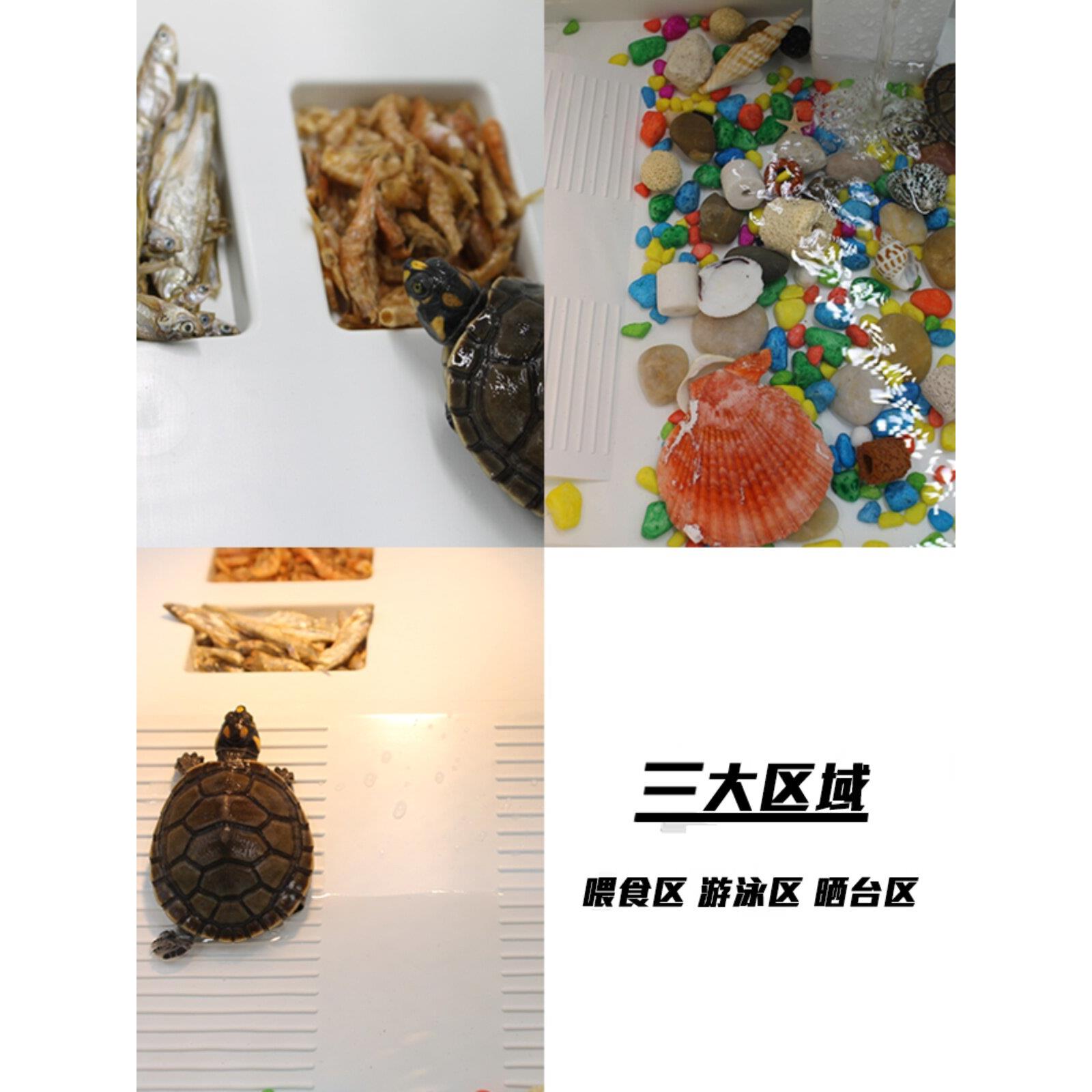 乌龟缸带晒台大型乌龟别墅养乌龟的专用缸小型水陆缸塑料饲养箱