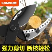 德国进口大力剪果树高枝剪修枝剪子粗枝剪齿轮强力伸缩大剪刀园林