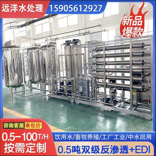 1-50吨/时大型工业二级RO反渗透水处理设备系统EDI超纯水设备装置