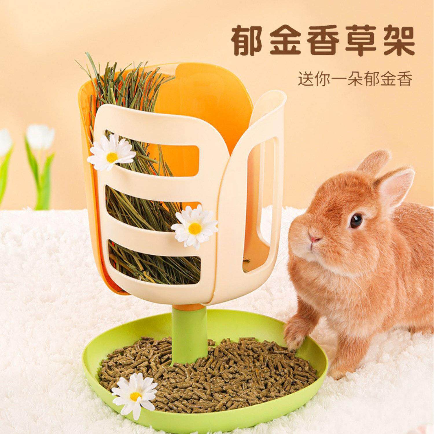 兔子防浪费一体草架荷兰猪龙猫食盆喂食器兔兔专用食盒吃草神器,宠物/宠物食品及用品,兔兔草架,淘宝优惠券,粉丝福利购,淘宝优惠卷