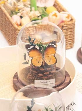 玻璃罩紫色立体真蝴蝶元素手工标本微景观摆件送女生日礼物高级感