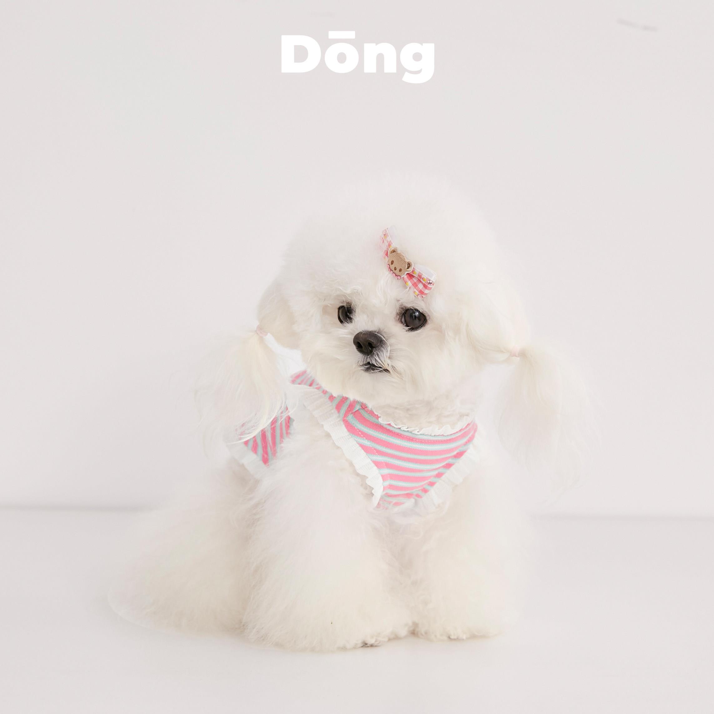 Dong宠物条纹花边背心小型犬泰迪比熊春季夏季可爱萌宠服装雪纳瑞
